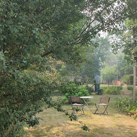 Chalet Dans La Foret....Adorable 1 Bedroom Chalet Surrounded By Woodland Pressignac Εξωτερικό φωτογραφία